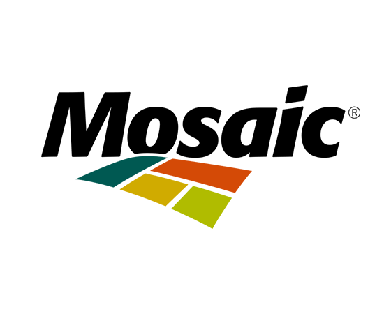 Mosaic